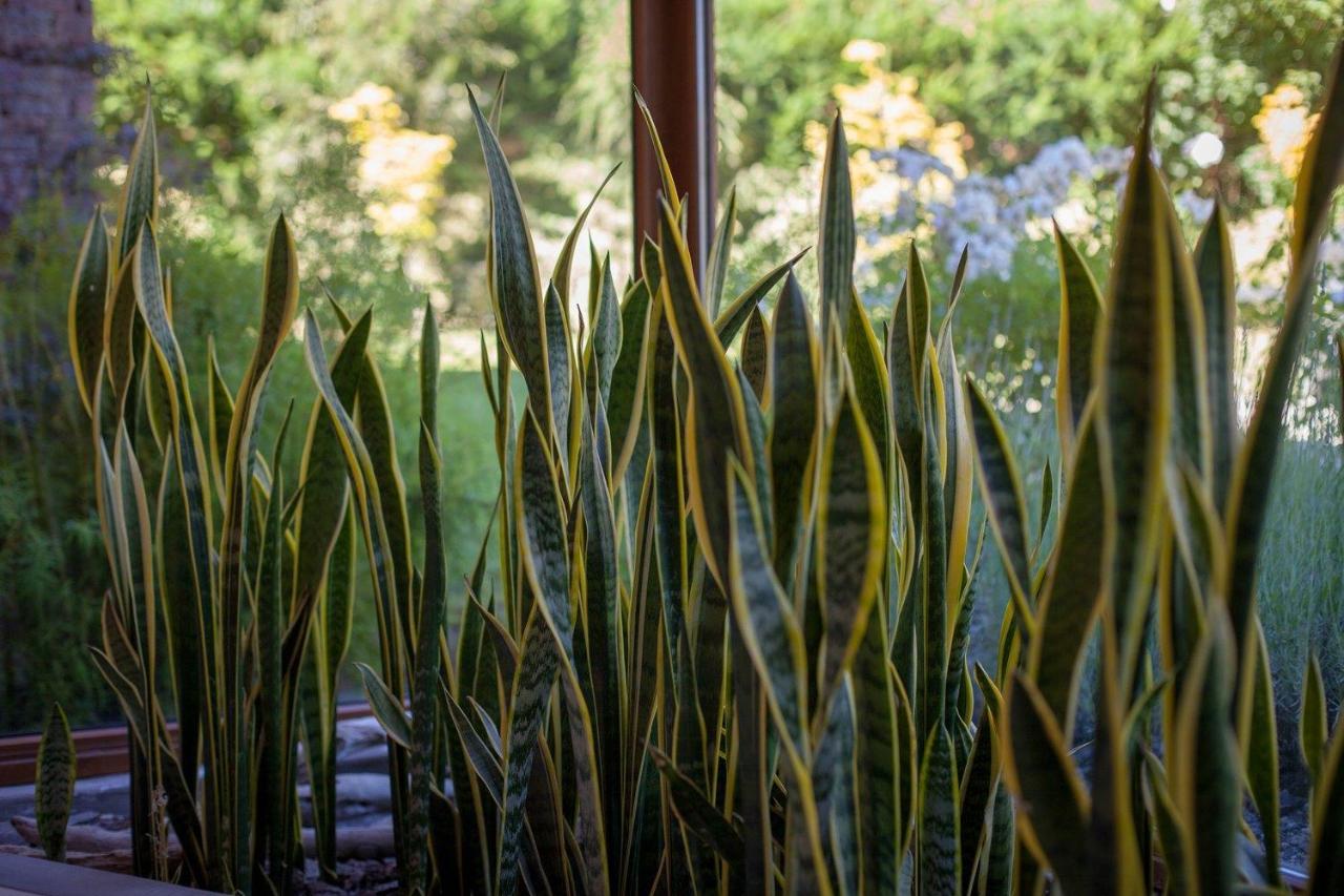 Origen De La Bahia Aparthotel Villa La Angostura Exteriör bild